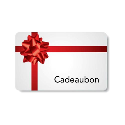 Fietspaleis Waardebon 100 euro